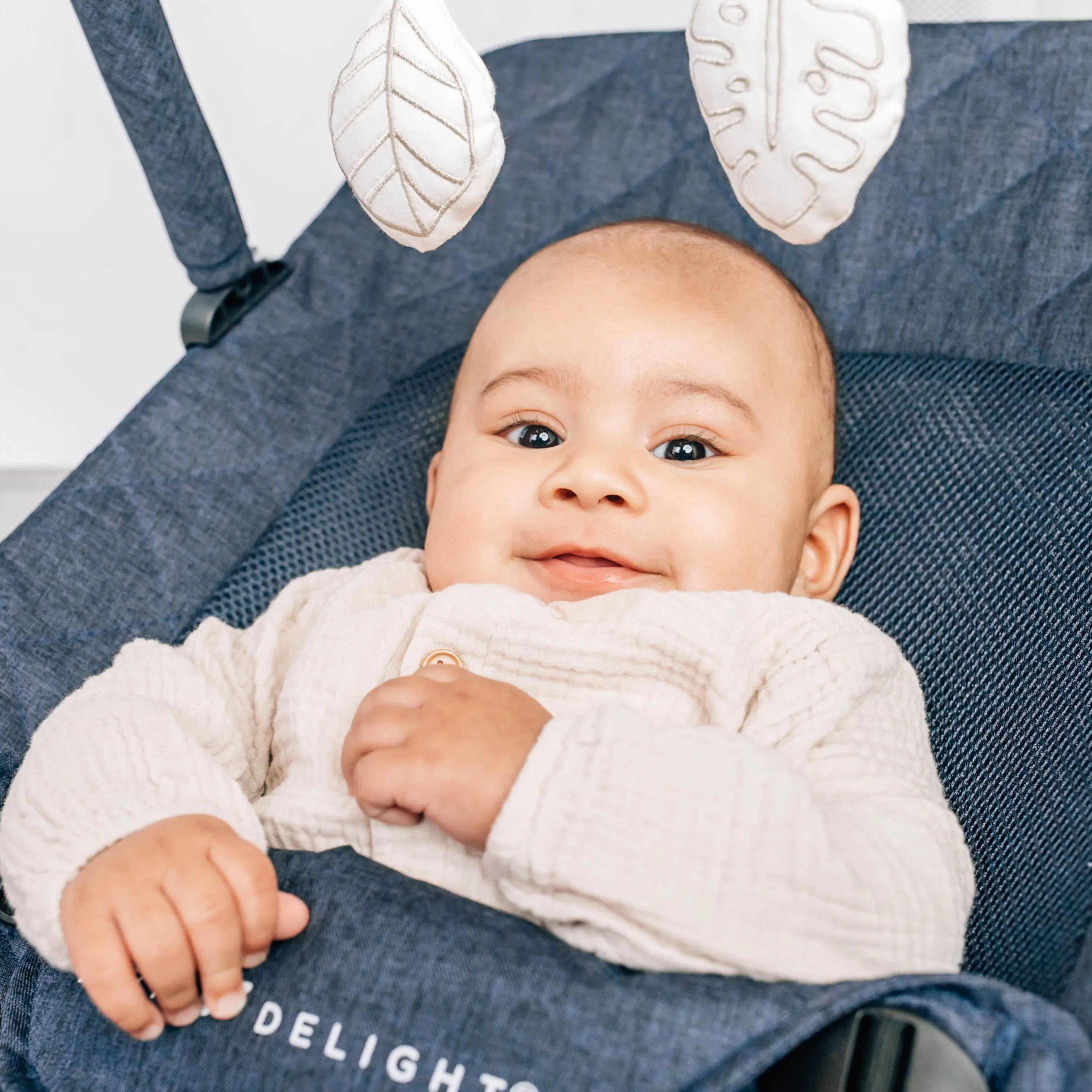 Alpine Deluxe Portable Bouncer - Quilted Indigo