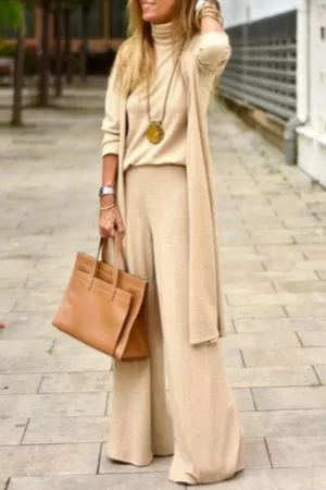 Casual Solid Solid Color Turtleneck Long Sleeve Two Pieces