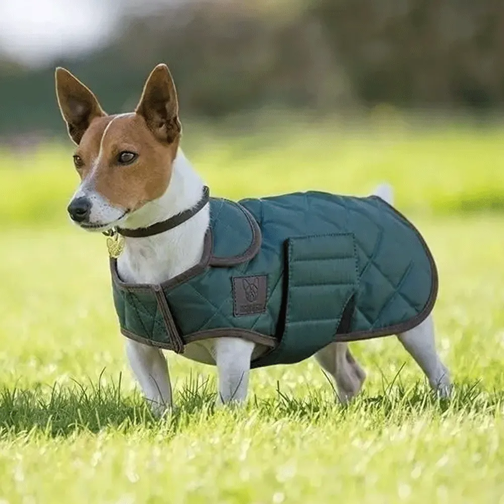 Digby & Fox Quilted Dog Coat