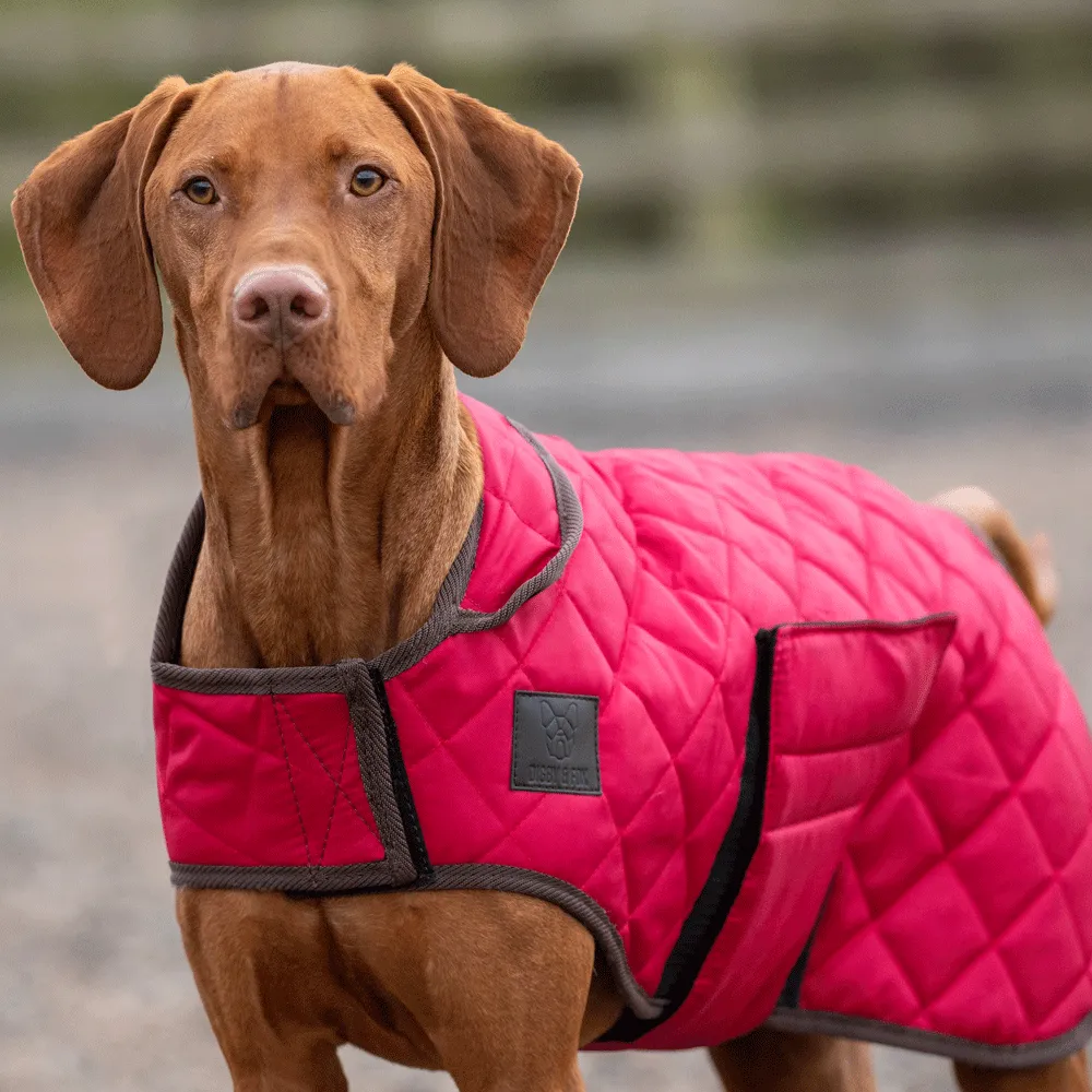 Digby & Fox Quilted Dog Coat