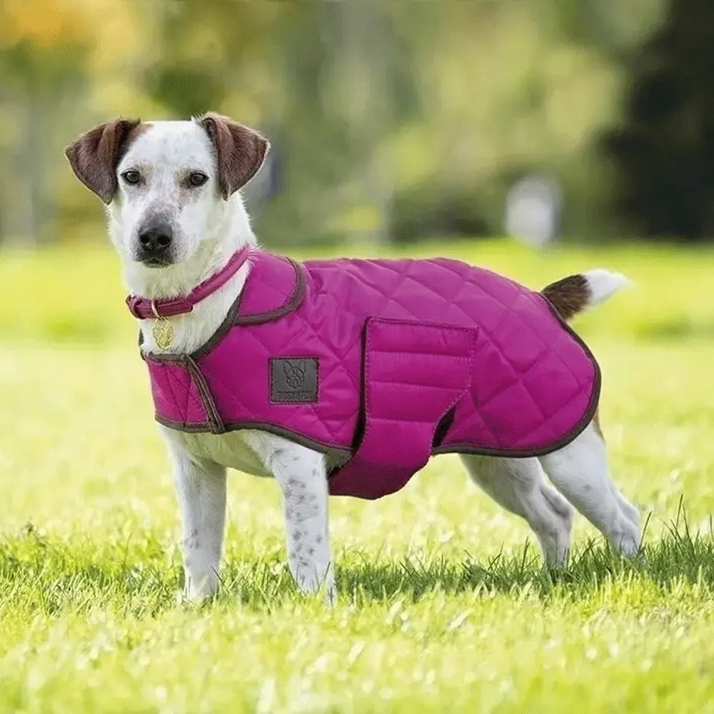 Digby & Fox Quilted Dog Coat