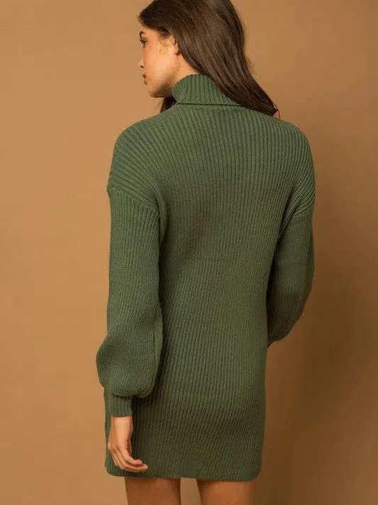 Good Clothes Open Doors Turtle Neck Balloon Sleeve Sweater Dress