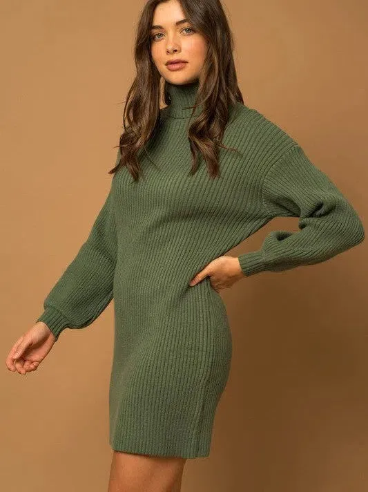 Good Clothes Open Doors Turtle Neck Balloon Sleeve Sweater Dress