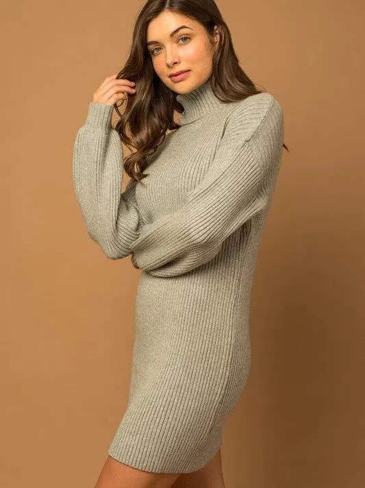 Good Clothes Open Doors Turtle Neck Balloon Sleeve Sweater Dress