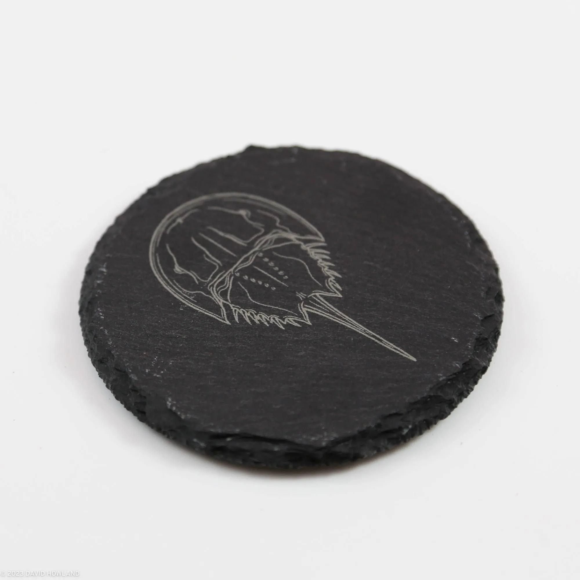 Horseshoe Crab Slate Coaster