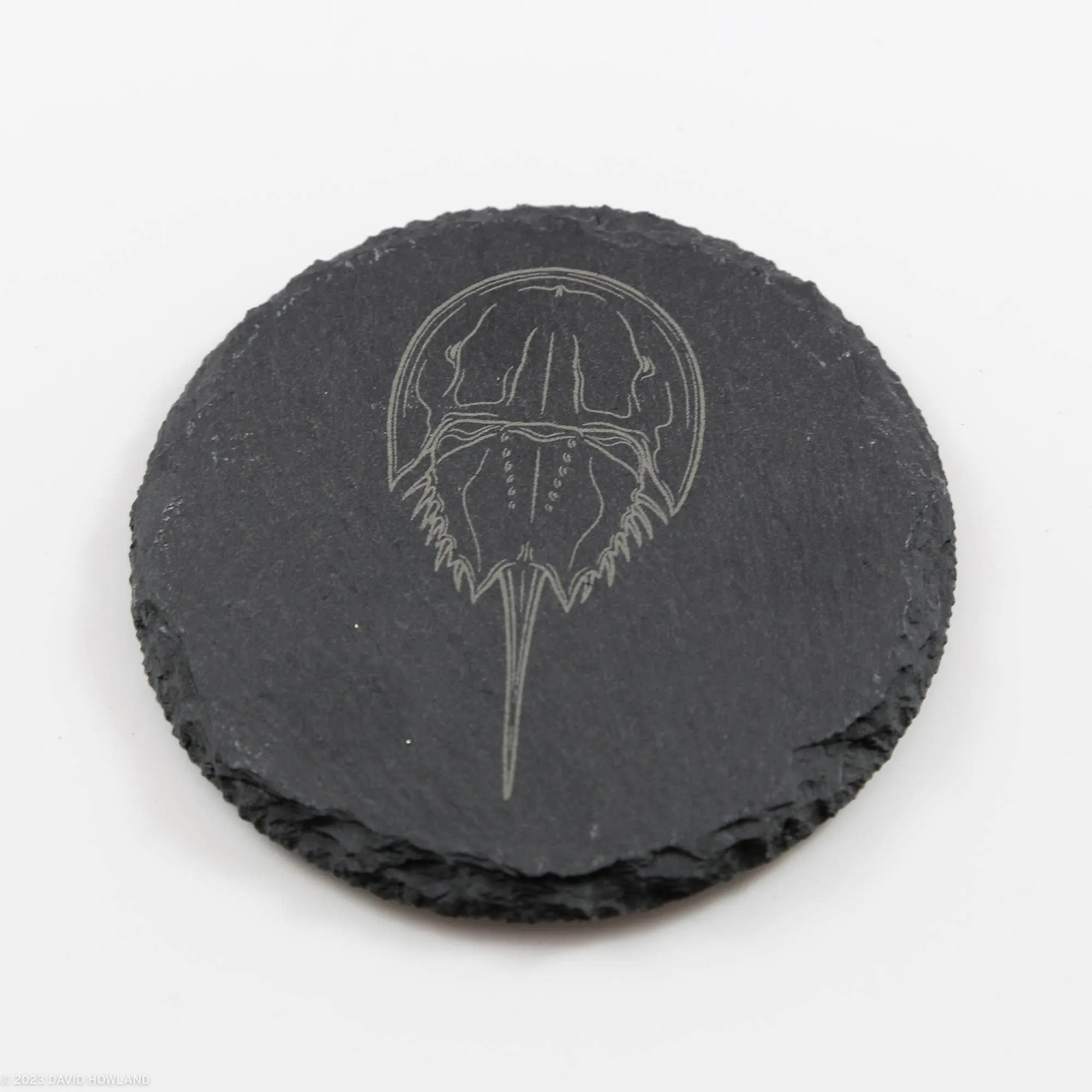 Horseshoe Crab Slate Coaster