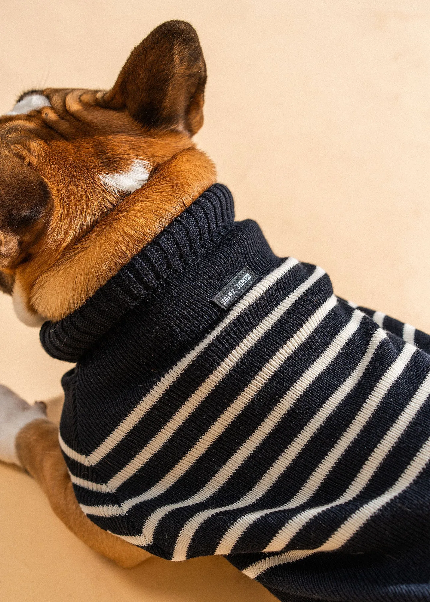 PARISIAN PUP SWEATER - Authentic Breton Striped Sweater for Dogs | Wool Blend (NAVY / IVORY)