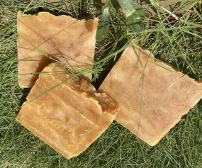 Turmeric Natural Spa Bar for Dogs