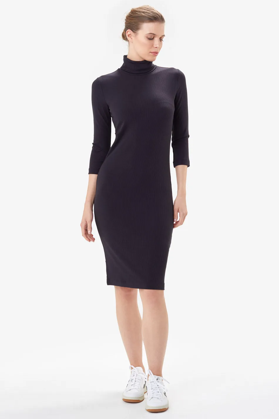 Villeray Turtleneck Dress