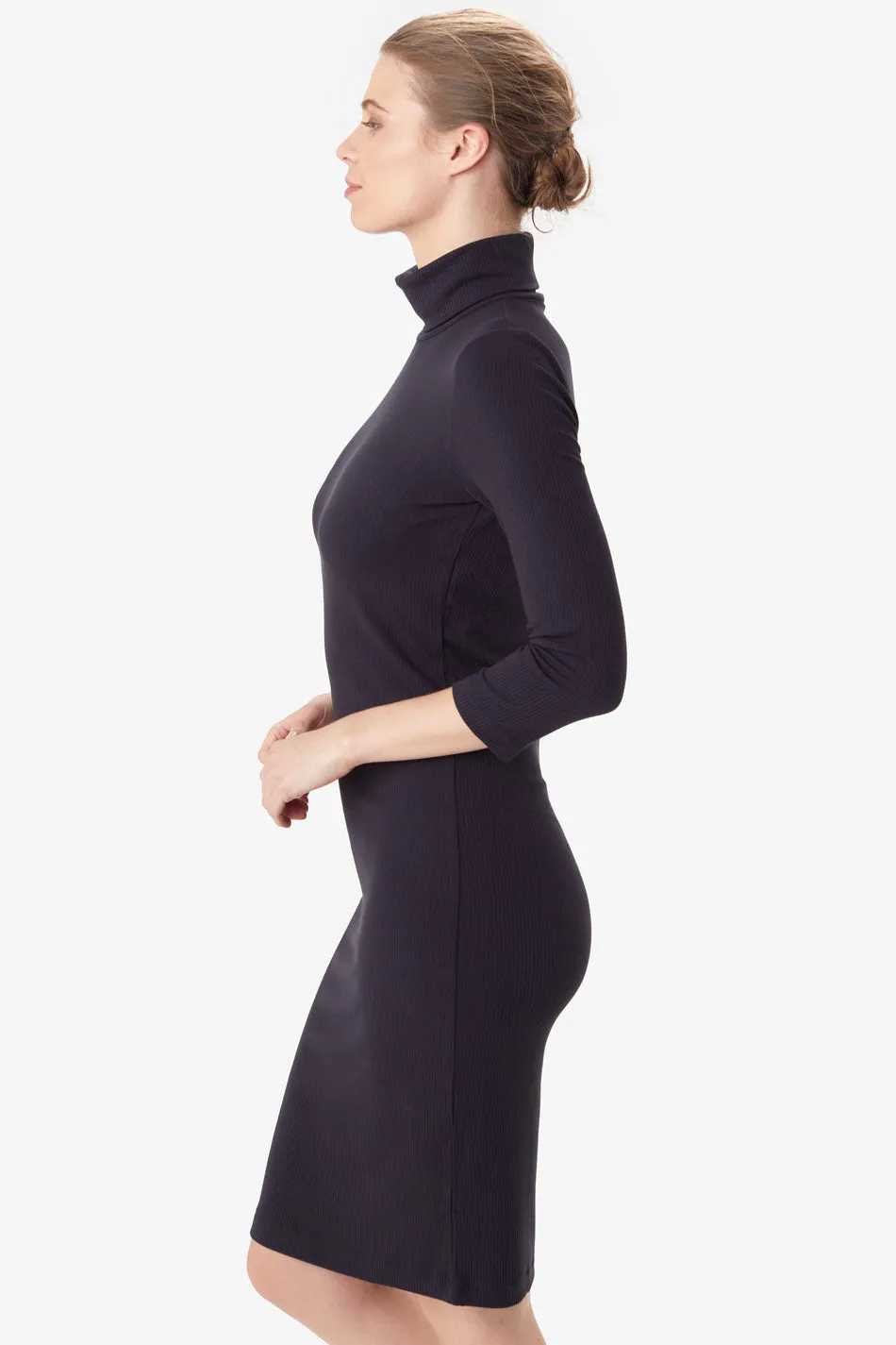 Villeray Turtleneck Dress